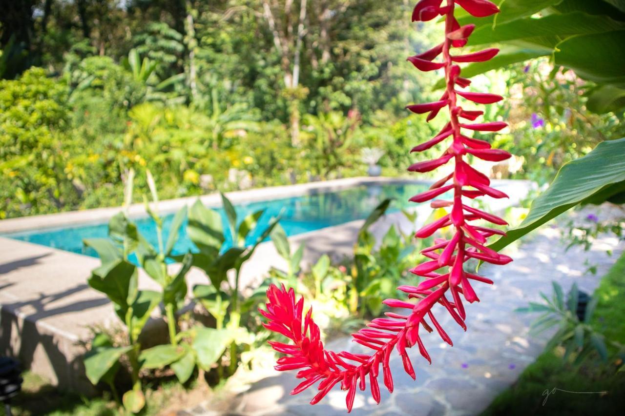 Hotel Casa Merlin Puerto Viejo de Talamanca ภายนอก รูปภาพ