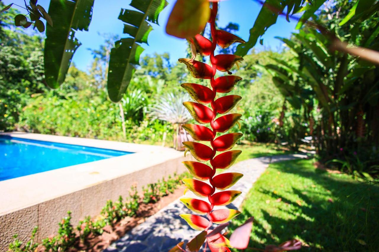Hotel Casa Merlin Puerto Viejo de Talamanca ภายนอก รูปภาพ