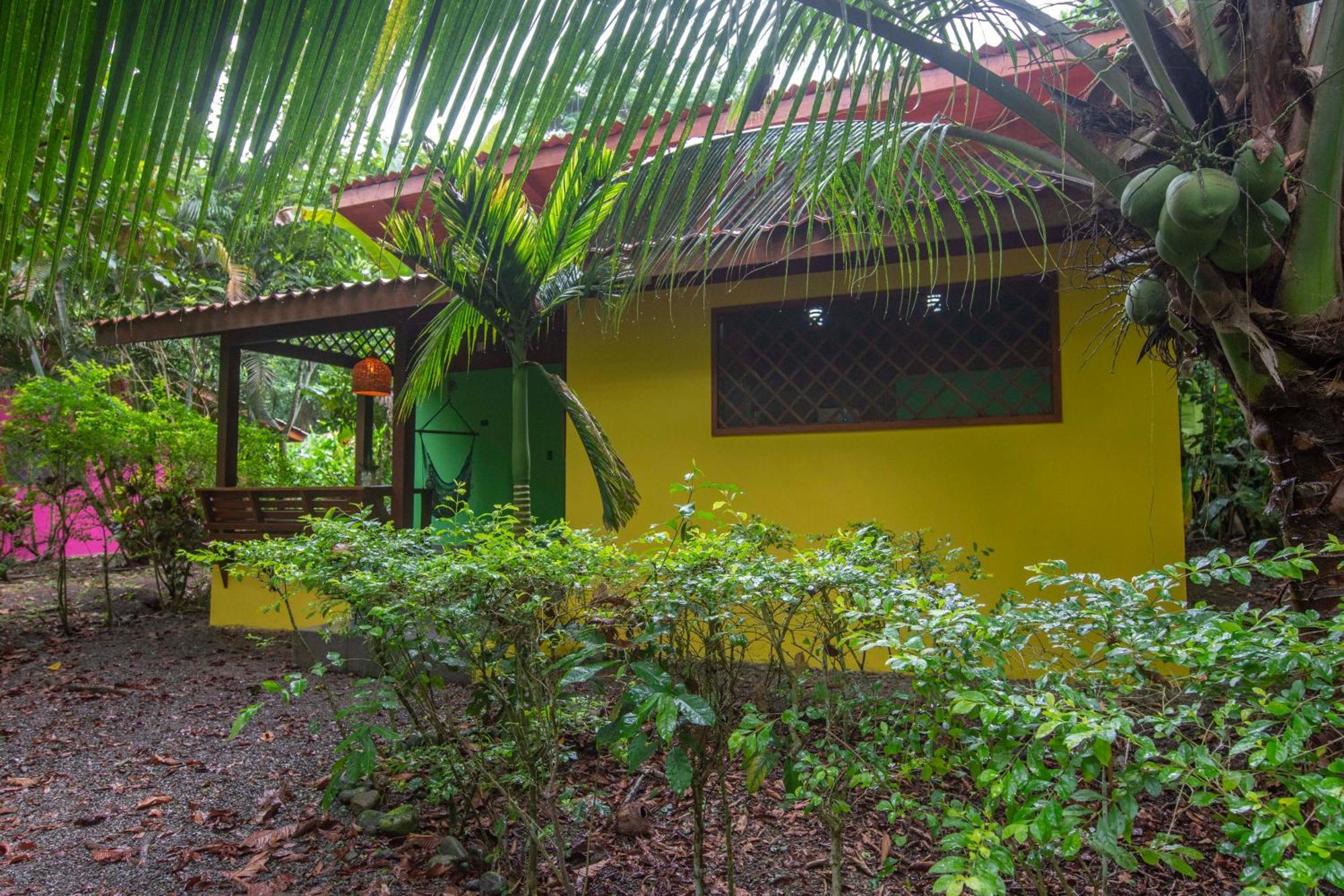 Hotel Casa Merlin Puerto Viejo de Talamanca ห้อง รูปภาพ