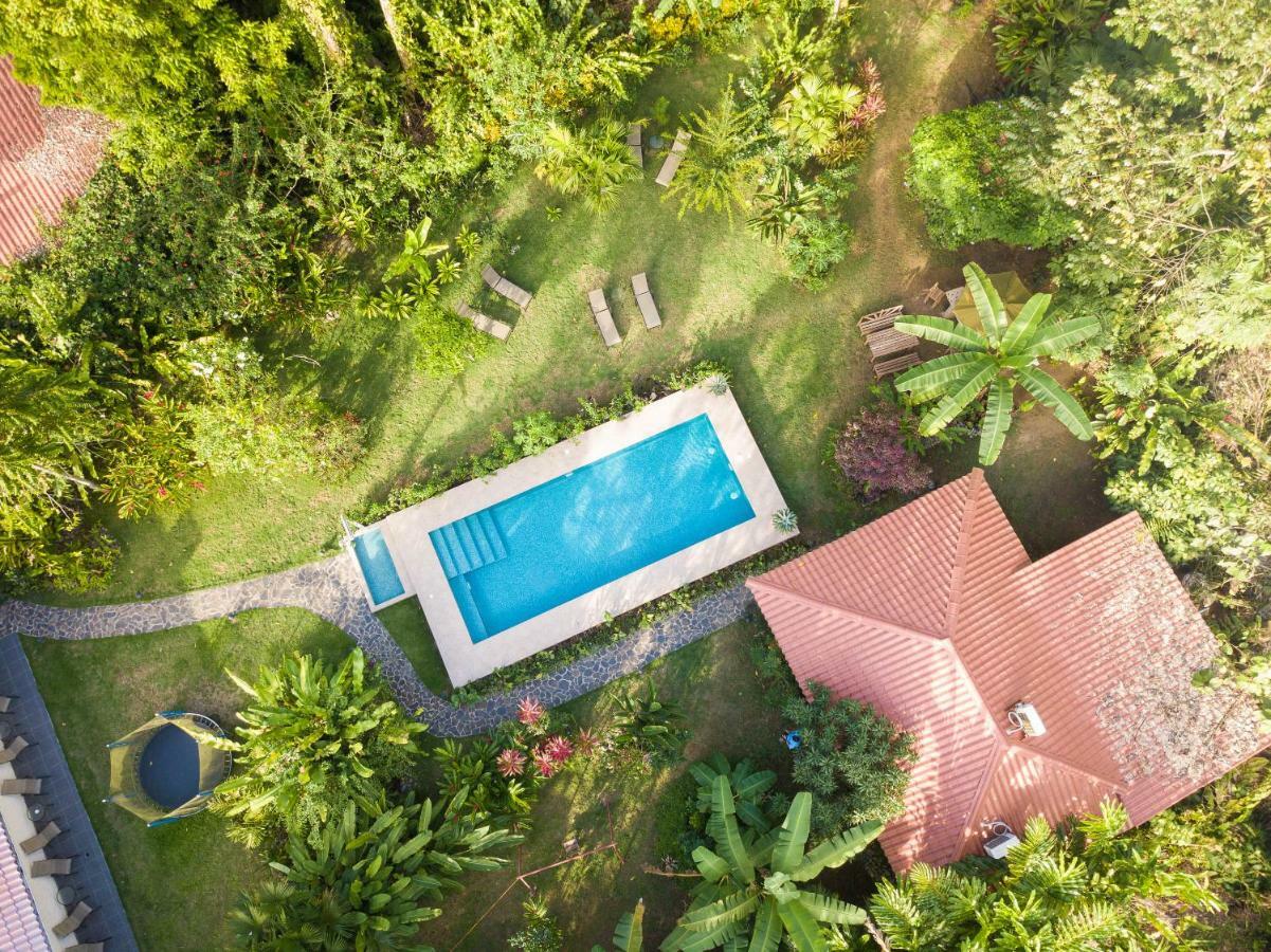 Hotel Casa Merlin Puerto Viejo de Talamanca ภายนอก รูปภาพ